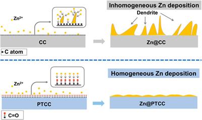Oxygen Plasma Modified Carbon Cloth with C=O Zincophilic Sites as a Stable Host for Zinc Metal Anodes